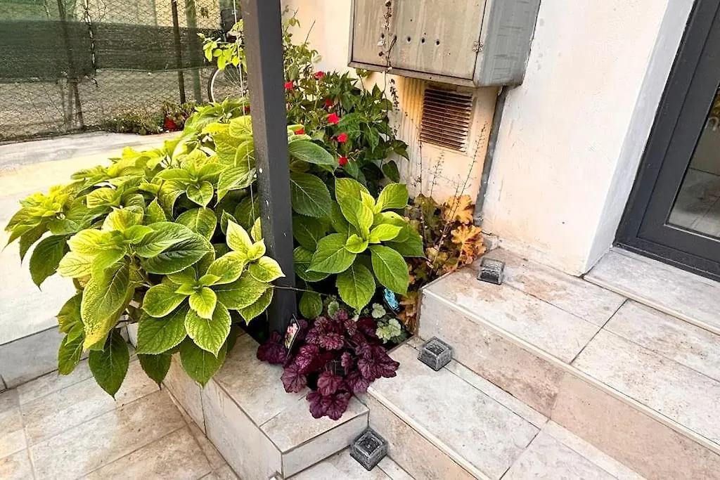 Casa Semi 整套公寓 Benátky